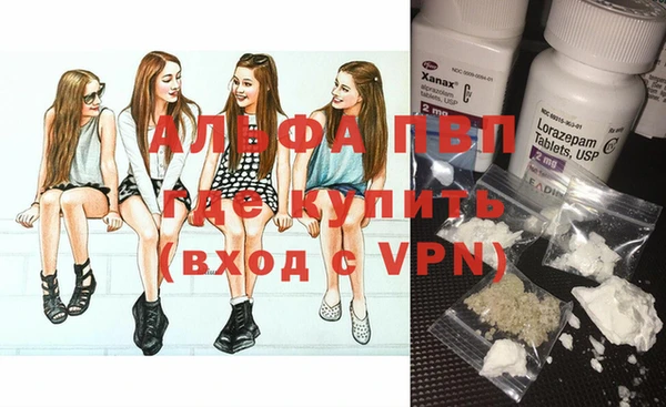 молекула духа Долгопрудный