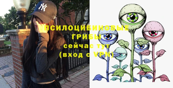 а пвп мука Ладушкин
