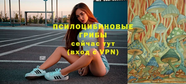 а пвп мука Ладушкин